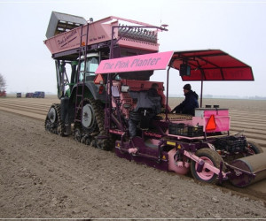 Lely Planter