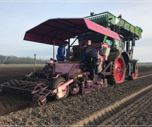 Lely Planter