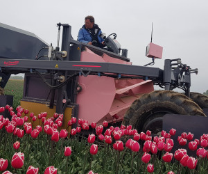 Flower Cutter